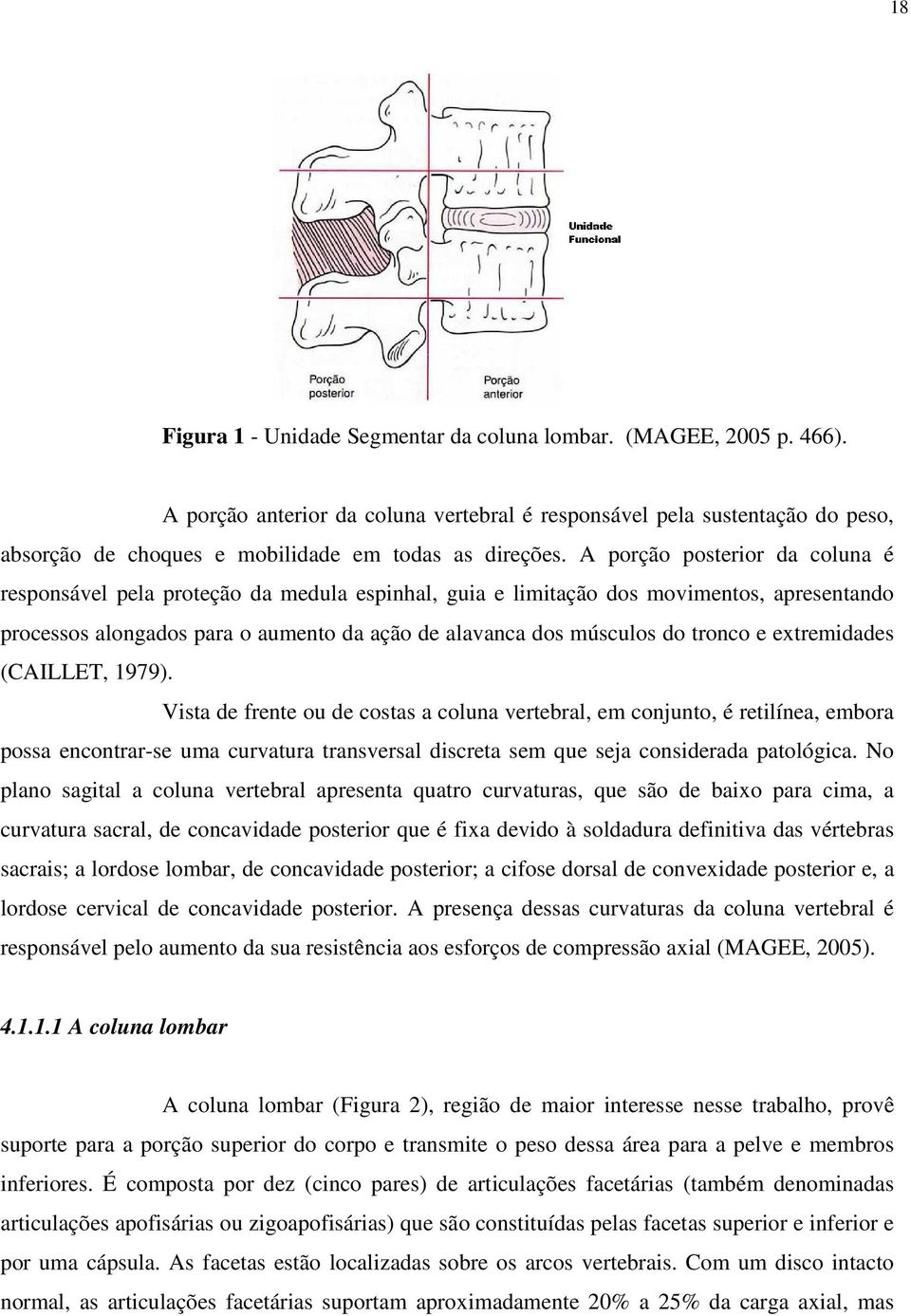 A porção posterior da coluna é responsável pela proteção da medula espinhal, guia e limitação dos movimentos, apresentando processos alongados para o aumento da ação de alavanca dos músculos do