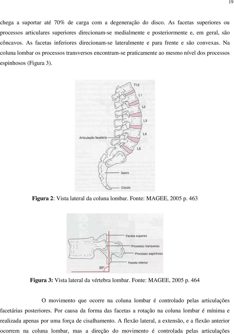 Figura 2: Vista lateral da coluna lombar. Fonte: MAGEE, 2005 p. 463 Figura 3: Vista lateral da vértebra lombar. Fonte: MAGEE, 2005 p. 464 O movimento que ocorre na coluna lombar é controlado pelas articulações facetárias posteriores.