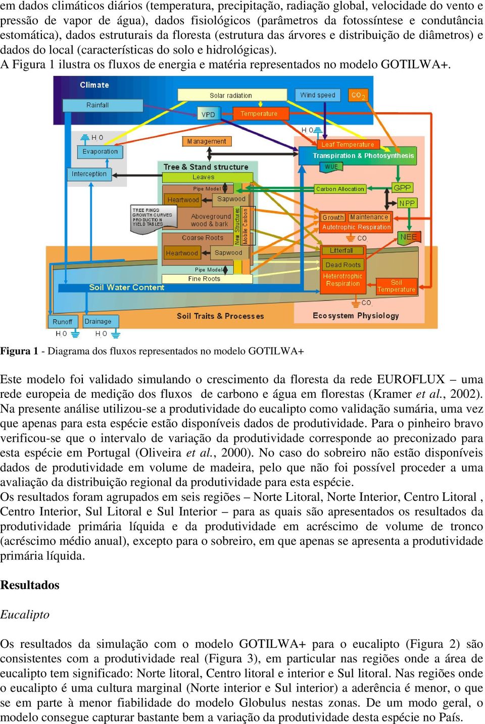 A Figura 1 ilustra os fluxos de energia e matéria representados no modelo GOTILWA+.