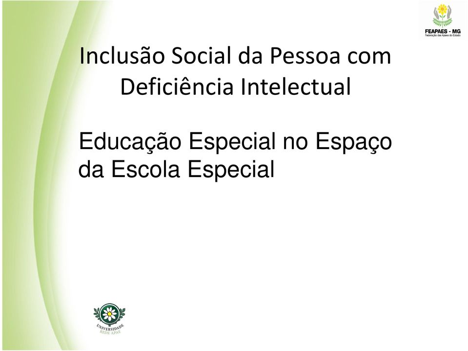 Intelectual Educação