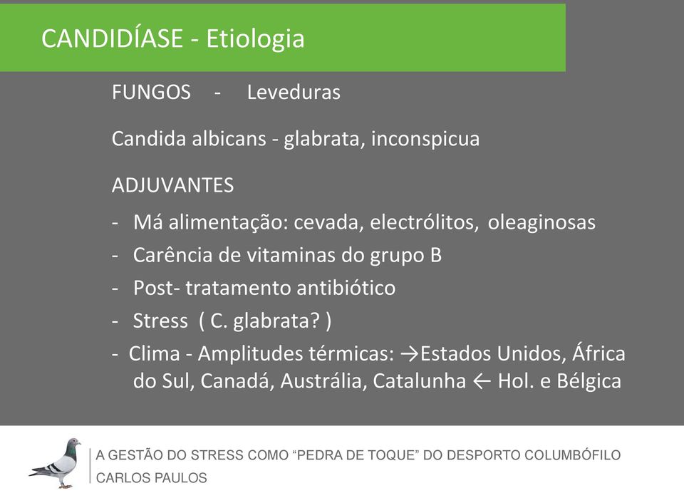 vitaminas do grupo B - Post- tratamento antibiótico - Stress ( C. glabrata?