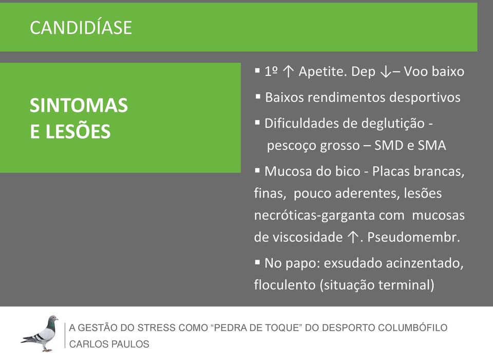 deglutição - pescoço grosso SMD e SMA Mucosa do bico - Placas brancas, finas,