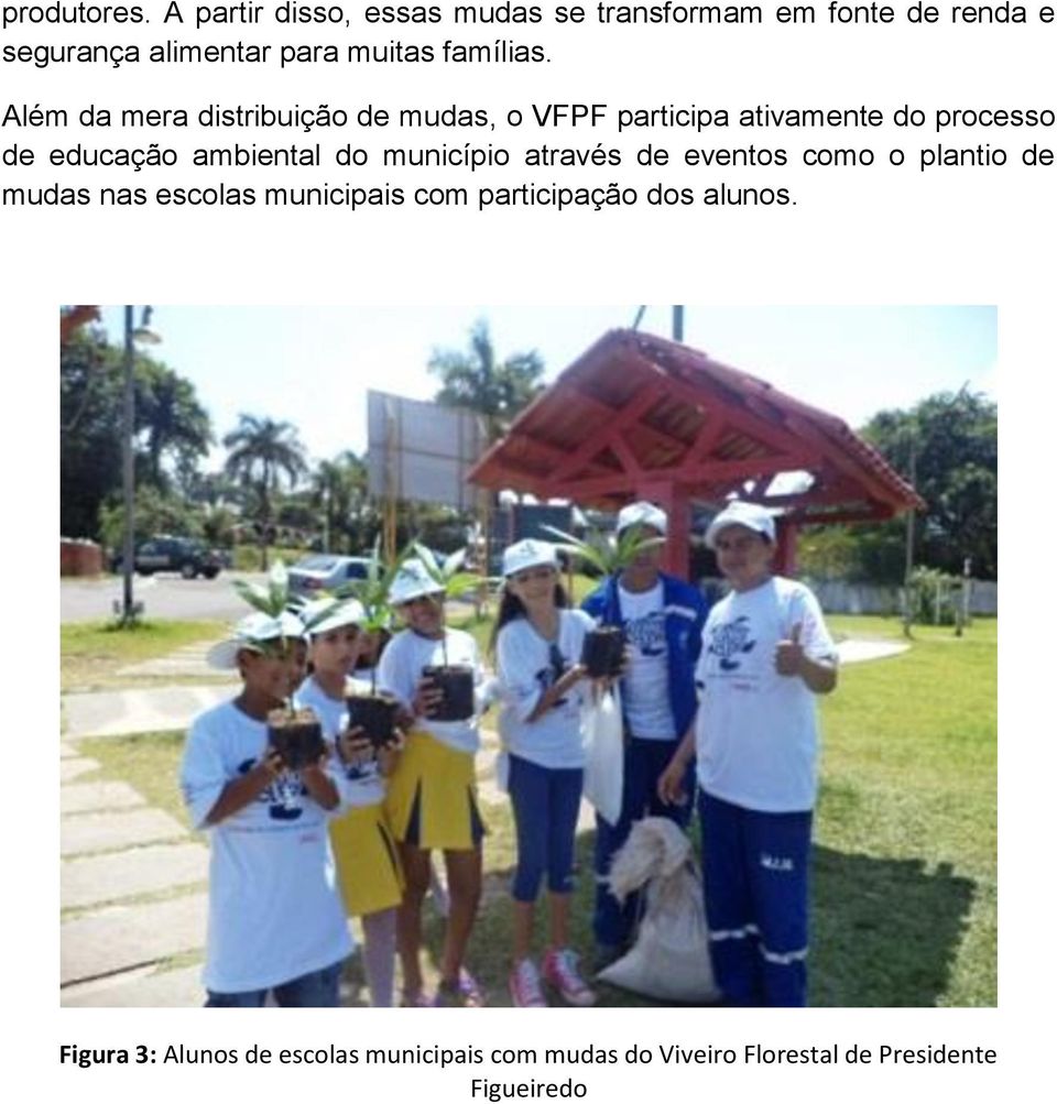 Além da mera distribuição de mudas, o VFPF participa ativamente do processo de educação ambiental do