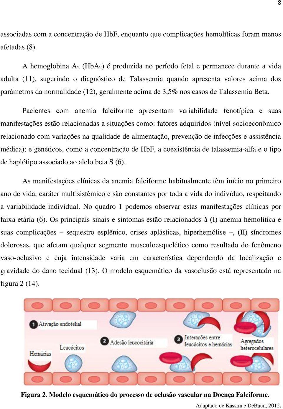 (12), geralmente acima de 3,5% nos casos de Talassemia Beta.