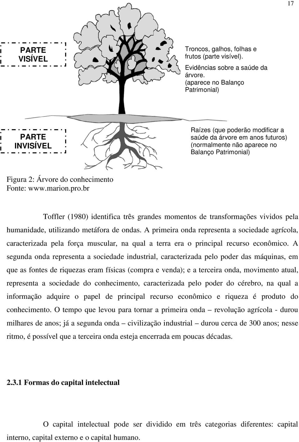 Fonte: www.marion.pro.br Toffler (1980) identifica três grandes momentos de transformações vividos pela humanidade, utilizando metáfora de ondas.