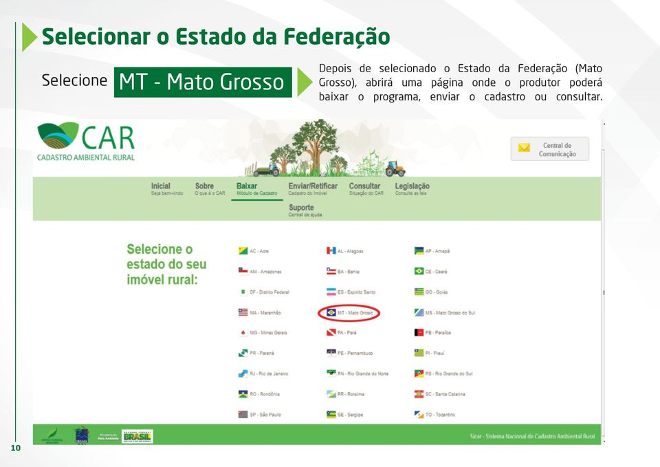 (Mato Grosso), abrirá uma página onde o produtor
