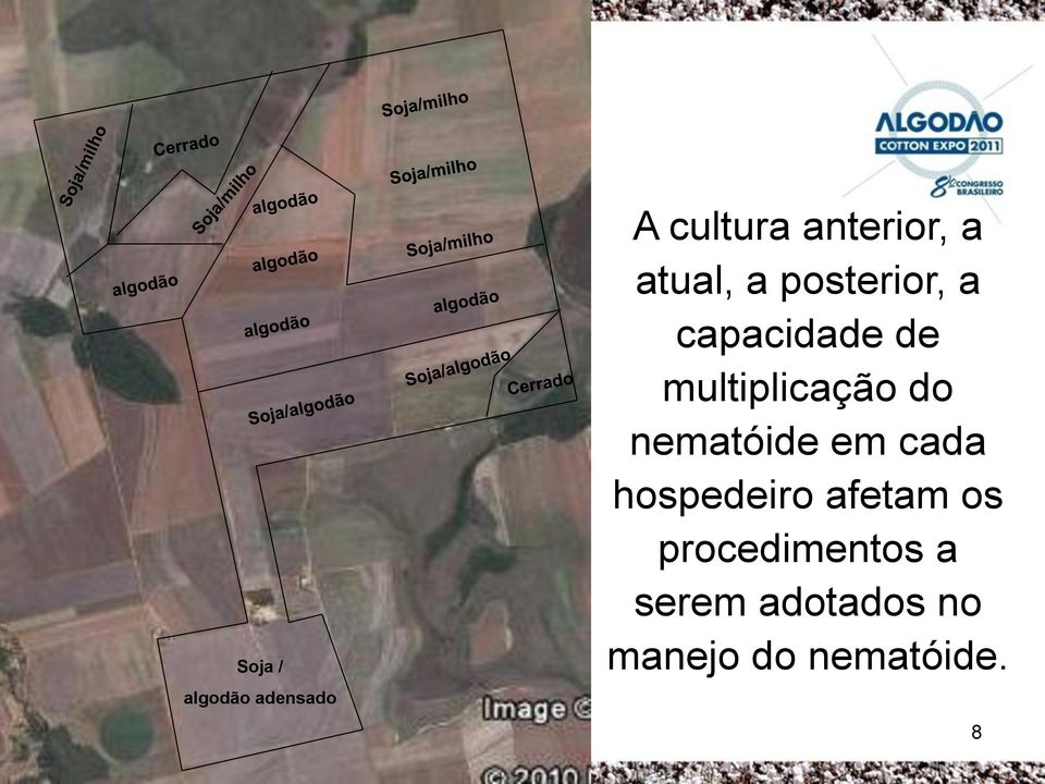 multiplicação do nematóide em cada hospedeiro