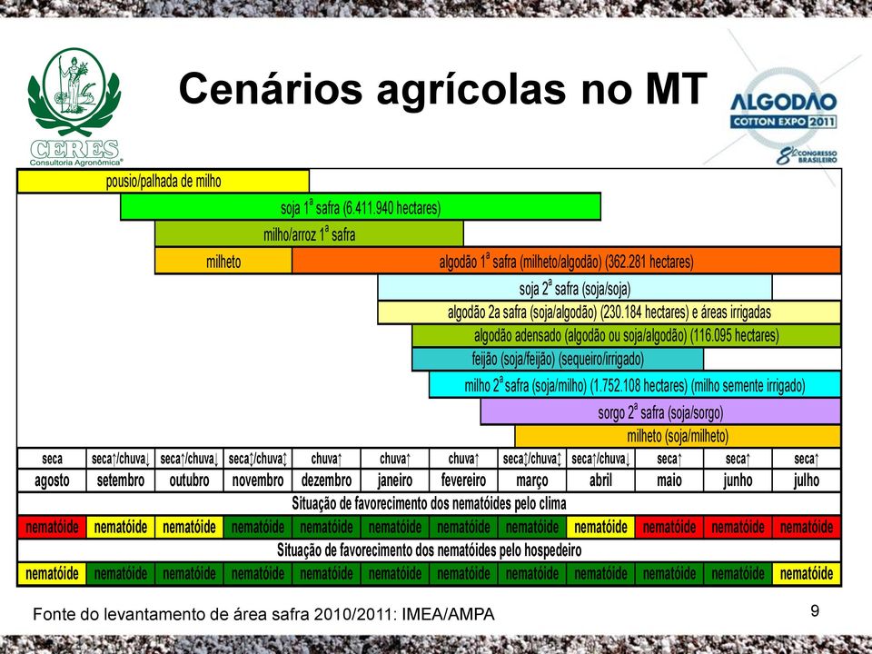 184 hectares) e áreas irrigadas algodão adensado (algodão ou soja/algodão) (116.095 hectares) feijão (soja/feijão) (sequeiro/irrigado) milho 2 a safra (soja/milho) (1.752.