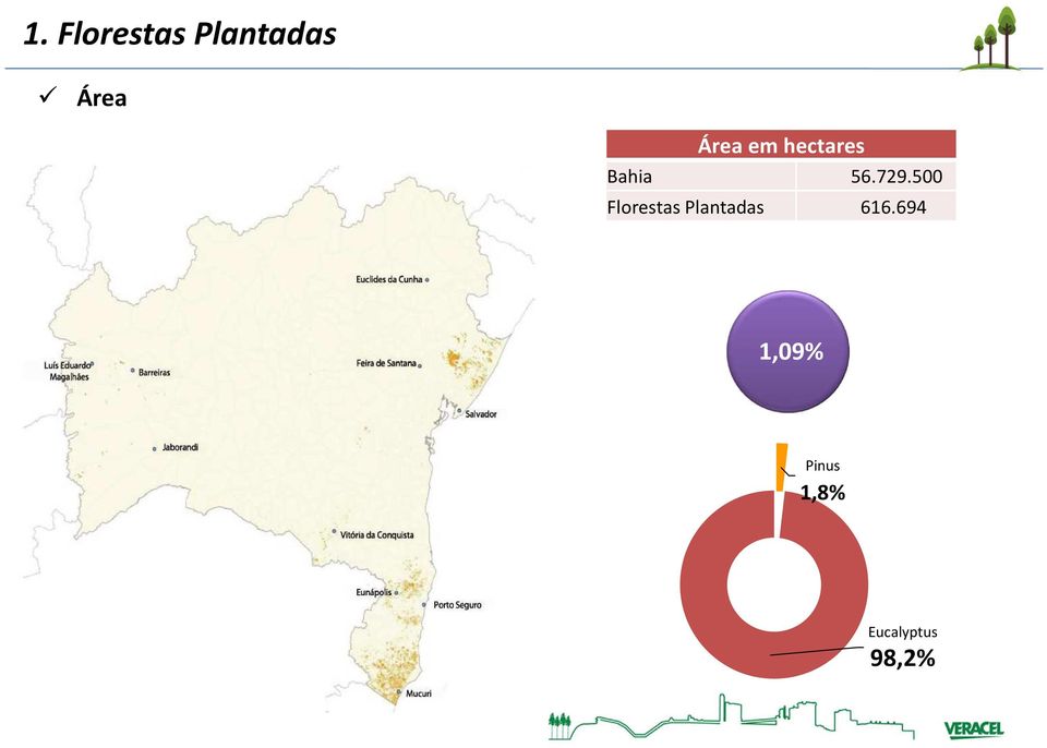 500 Florestas Plantadas 616.