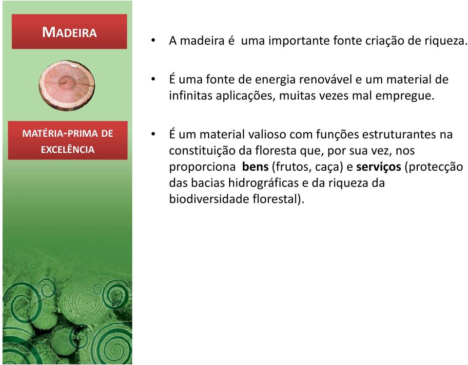 MATÉRIA-PRIMA DE EXCELÊNCIA É um material valioso com funções estruturantes na constituição da