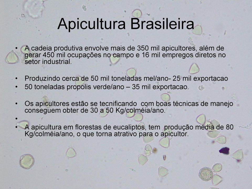 Produzindo cerca de 50 mil toneladas mel/ano- 25 mil exportacao 50 toneladas propolis verde/ano 35 mil exportacao.