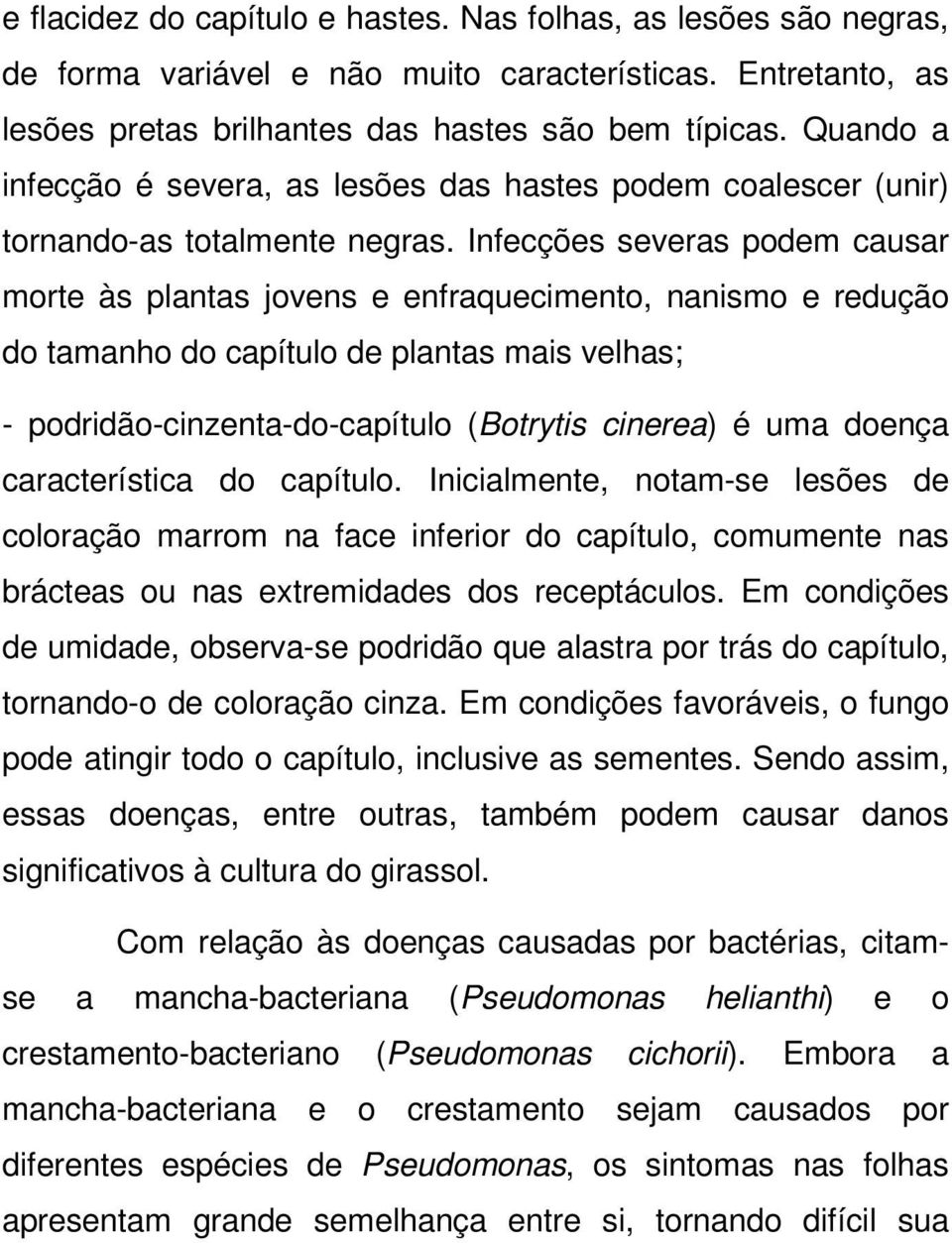 Infecções severas podem causar morte às plantas jovens e enfraquecimento, nanismo e redução do tamanho do capítulo de plantas mais velhas; - podridão-cinzenta-do-capítulo (Botrytis cinerea) é uma