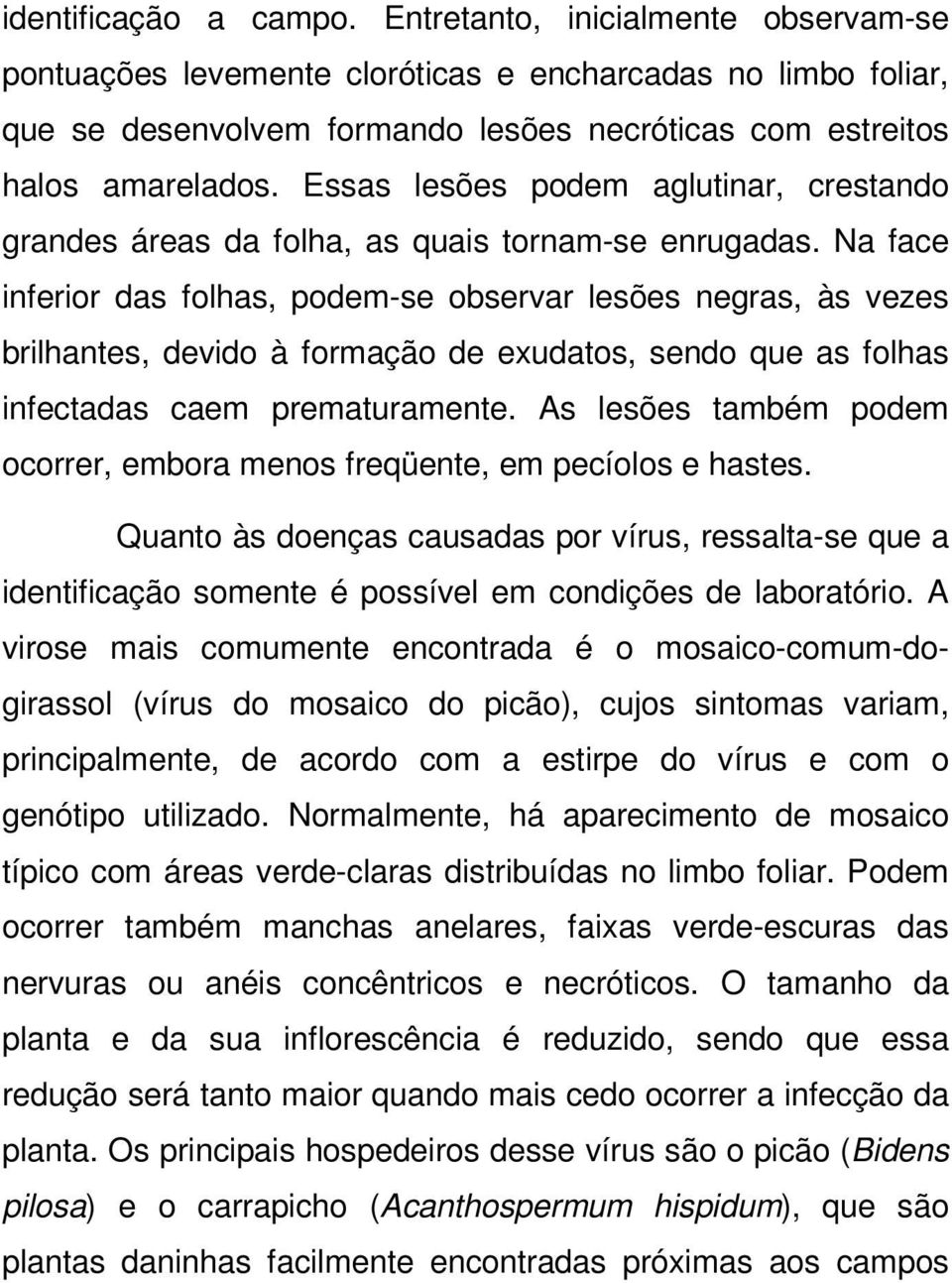 Na face inferior das folhas, podem-se observar lesões negras, às vezes brilhantes, devido à formação de exudatos, sendo que as folhas infectadas caem prematuramente.