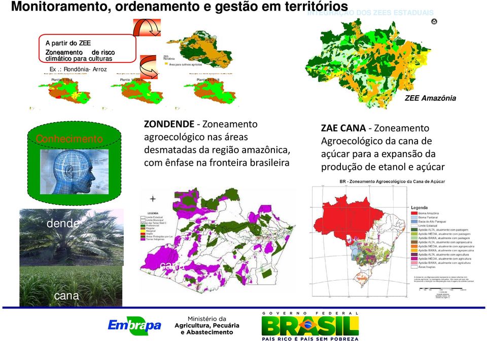 : Rondônia- Arroz ZEE- Rondônia Área para cultivos agrícolas Plantio 1-10/8 Plantio 11-20/8 Plantio 21-31/8 ZEE Amazônia