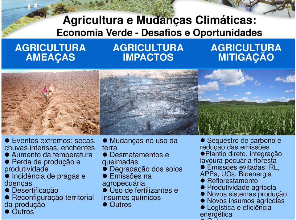 Desmatamentos e queimadas Degradação dos solos Emissões na agropecuária Uso de fertilizantes e insumos químicos Outros Sequestro de carbono e redução das emissões Plantio direto,