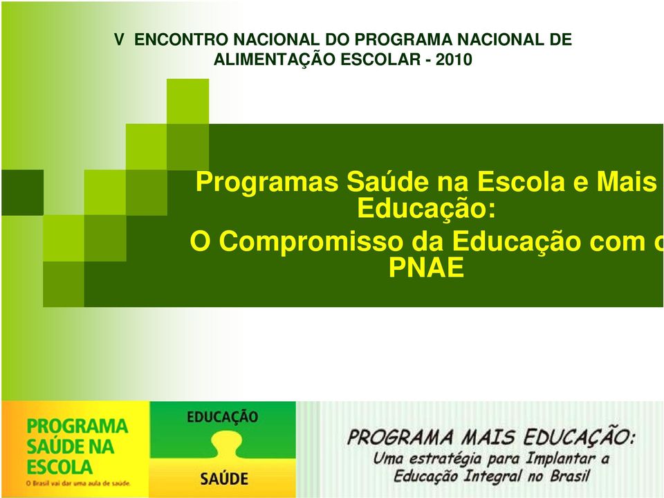 2010 Programas Saúde na Escola e Mais