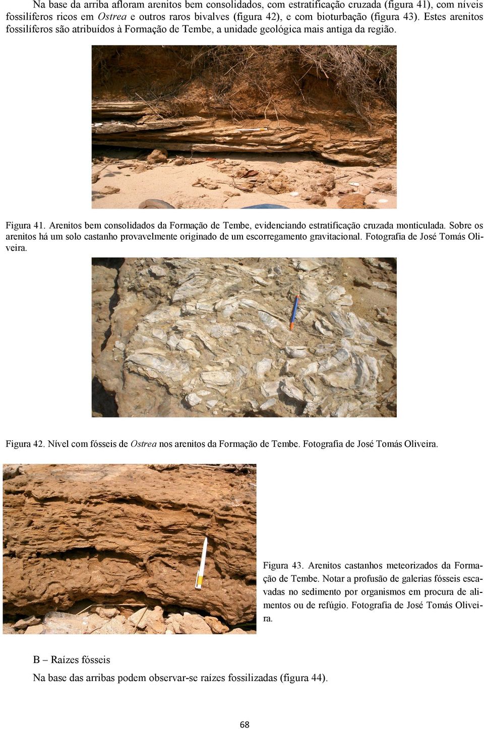 Arenitos bem consolidados da Formação de Tembe, evidenciando estratificação cruzada monticulada. Sobre os arenitos há um solo castanho provavelmente originado de um escorregamento gravitacional.