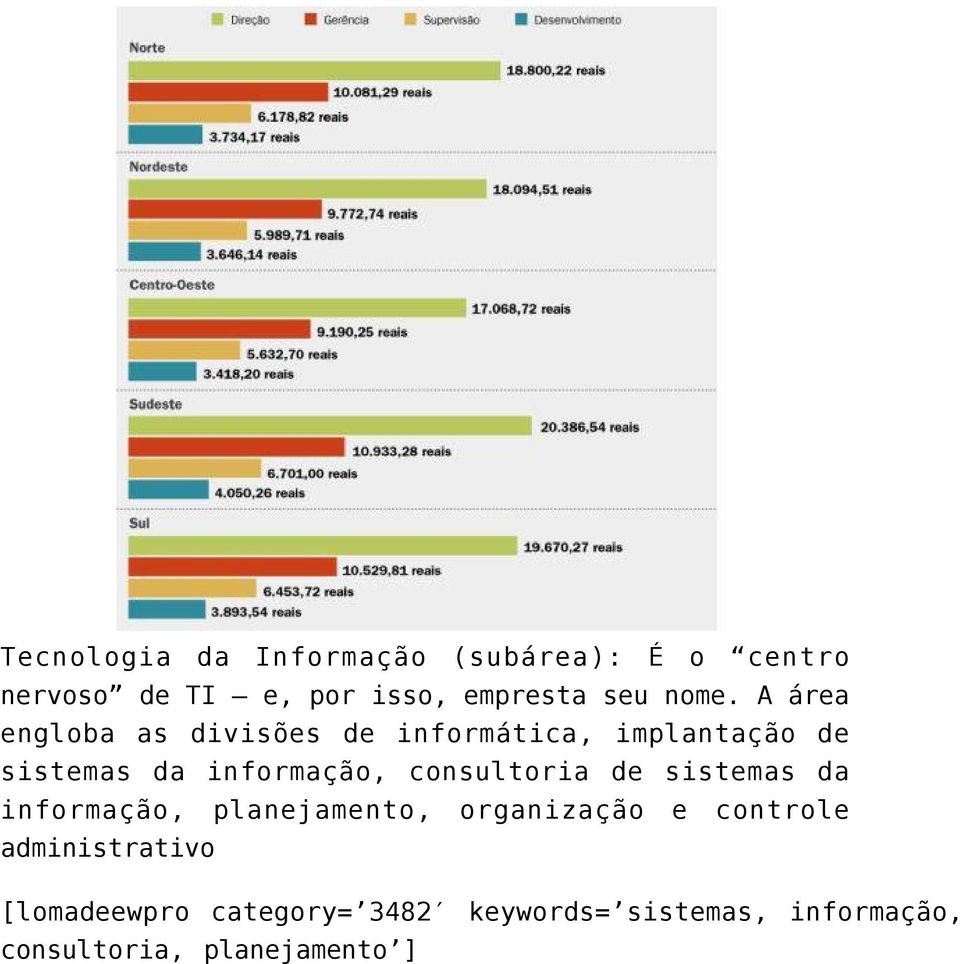 consultoria de sistemas da informação, planejamento, organização e controle