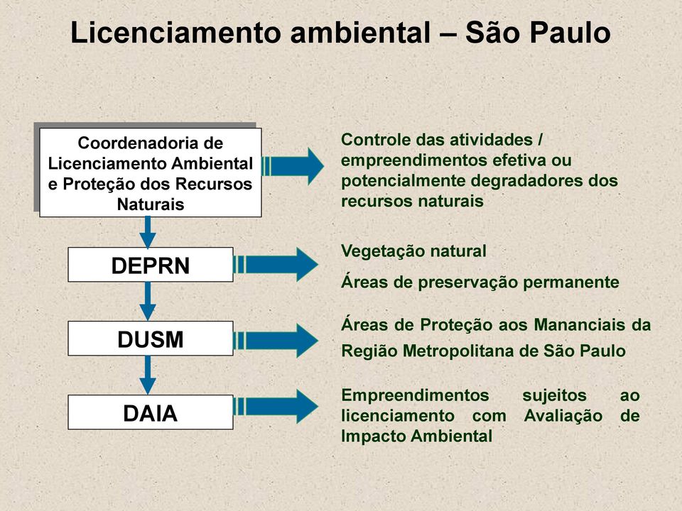 efetiva ou potencialmente degradadores dos recursos naturais Vegetação natural Áreas de preservação permanente Áreas de