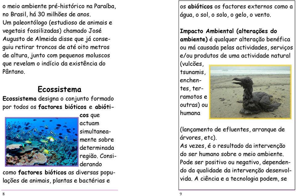 revelam o indício da existência do Pântano. Ecossistema Ecossistema designa o conjunto formado por todos os factores bióticos e abióticos que actuam simultaneamente sobre determinada região.