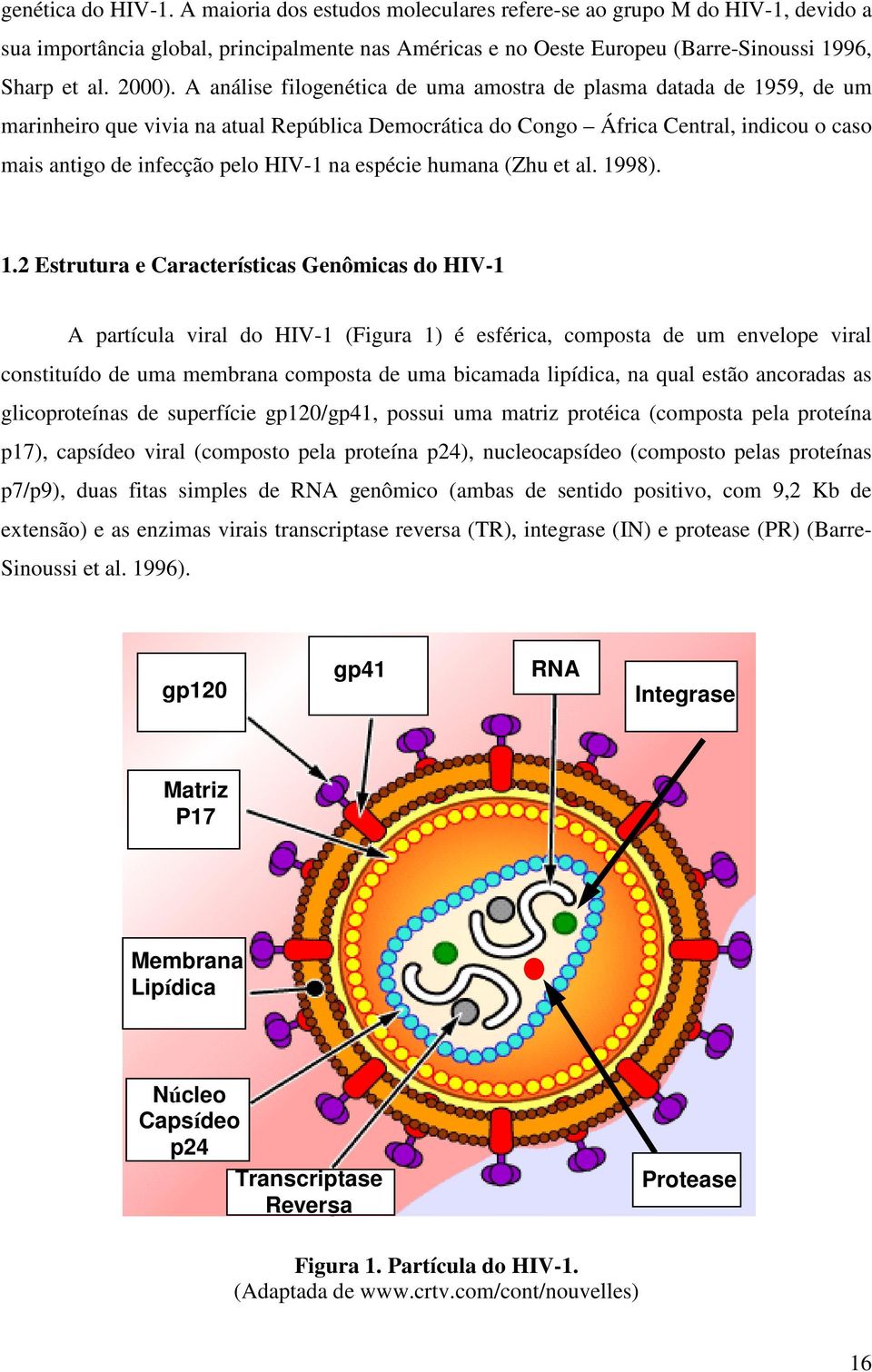 A análise filogenética de uma amostra de plasma datada de 1959, de um marinheiro que vivia na atual República Democrática do Congo África Central, indicou o caso mais antigo de infecção pelo HIV-1 na