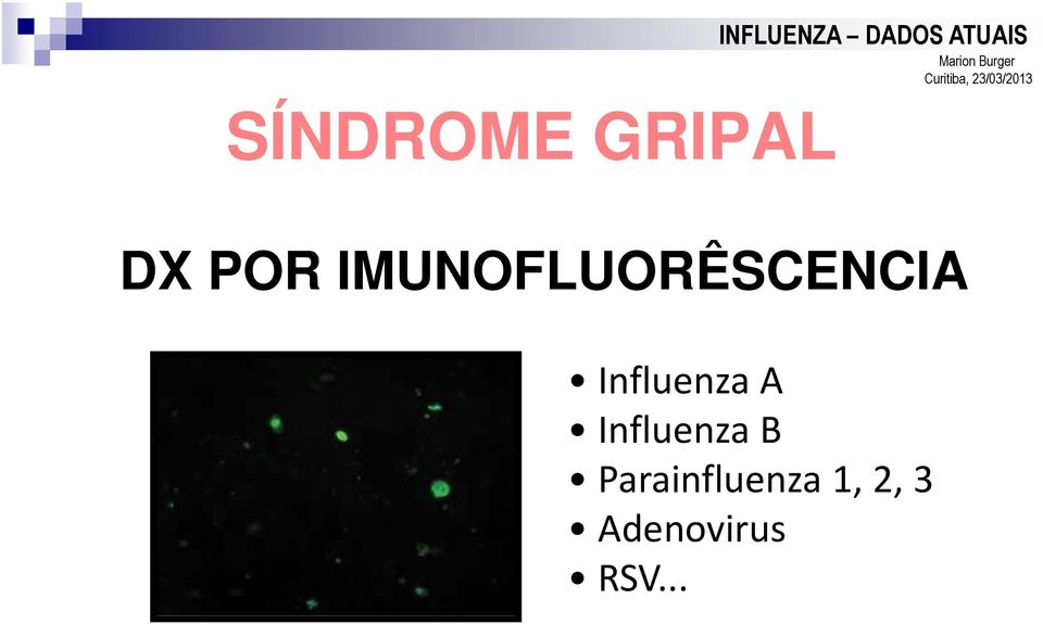 IMUNOFLUORÊSCENCIA Influenza A