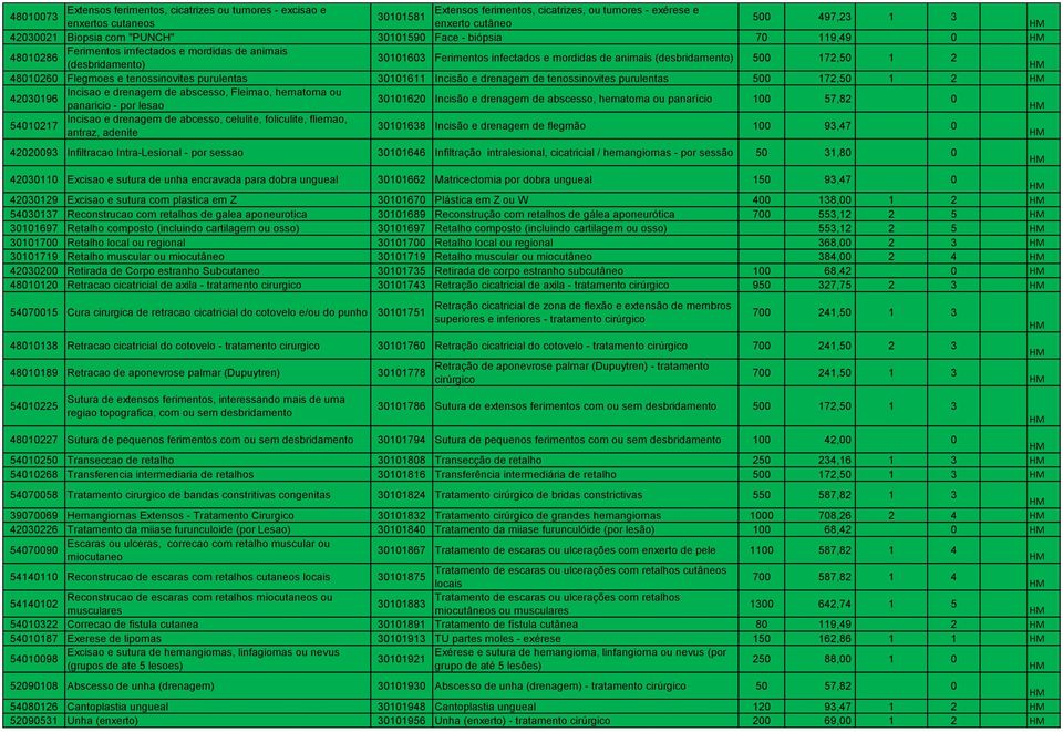 48010260 Flegmoes e tenossinovites purulentas 30101611 Incisão e drenagem de tenossinovites purulentas 500 172,50 1 2 42030196 Incisao e drenagem de abscesso, Fleimao, hematoma ou 30101620 Incisão e