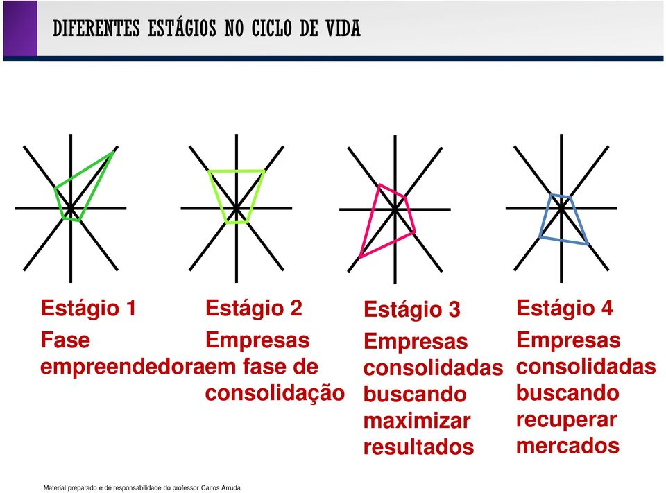 Estágio 3 Empresas consolidadas buscando maximizar