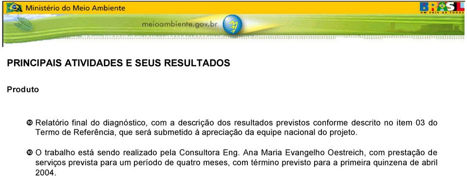 ❿ O trabalho está sendo realizado pela Consultora Eng.