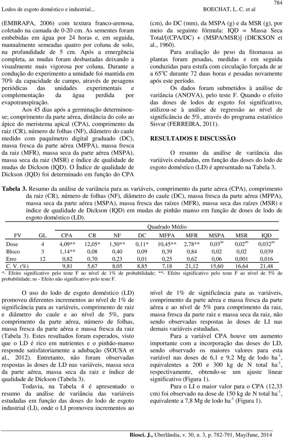 Após a emergência completa, as mudas foram desbastadas deixando a visualmente mais vigorosa por coluna.