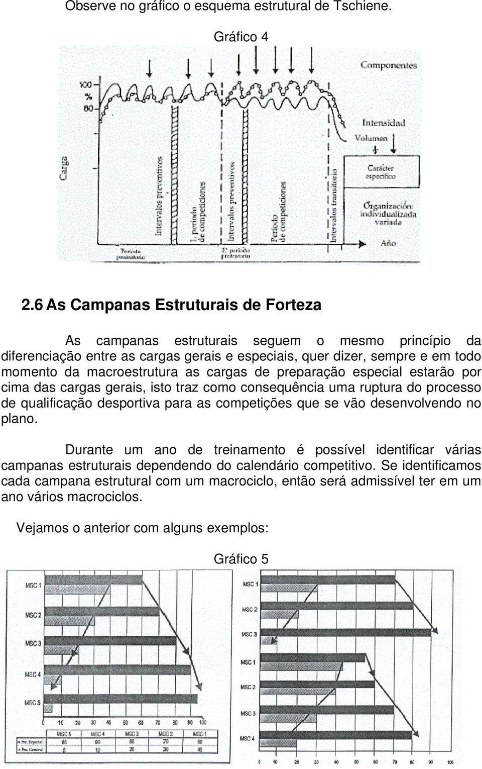 macroestrutura as cargas de preparação especial estarão por cima das cargas gerais, isto traz como consequência uma ruptura do processo de qualificação desportiva para as competições que