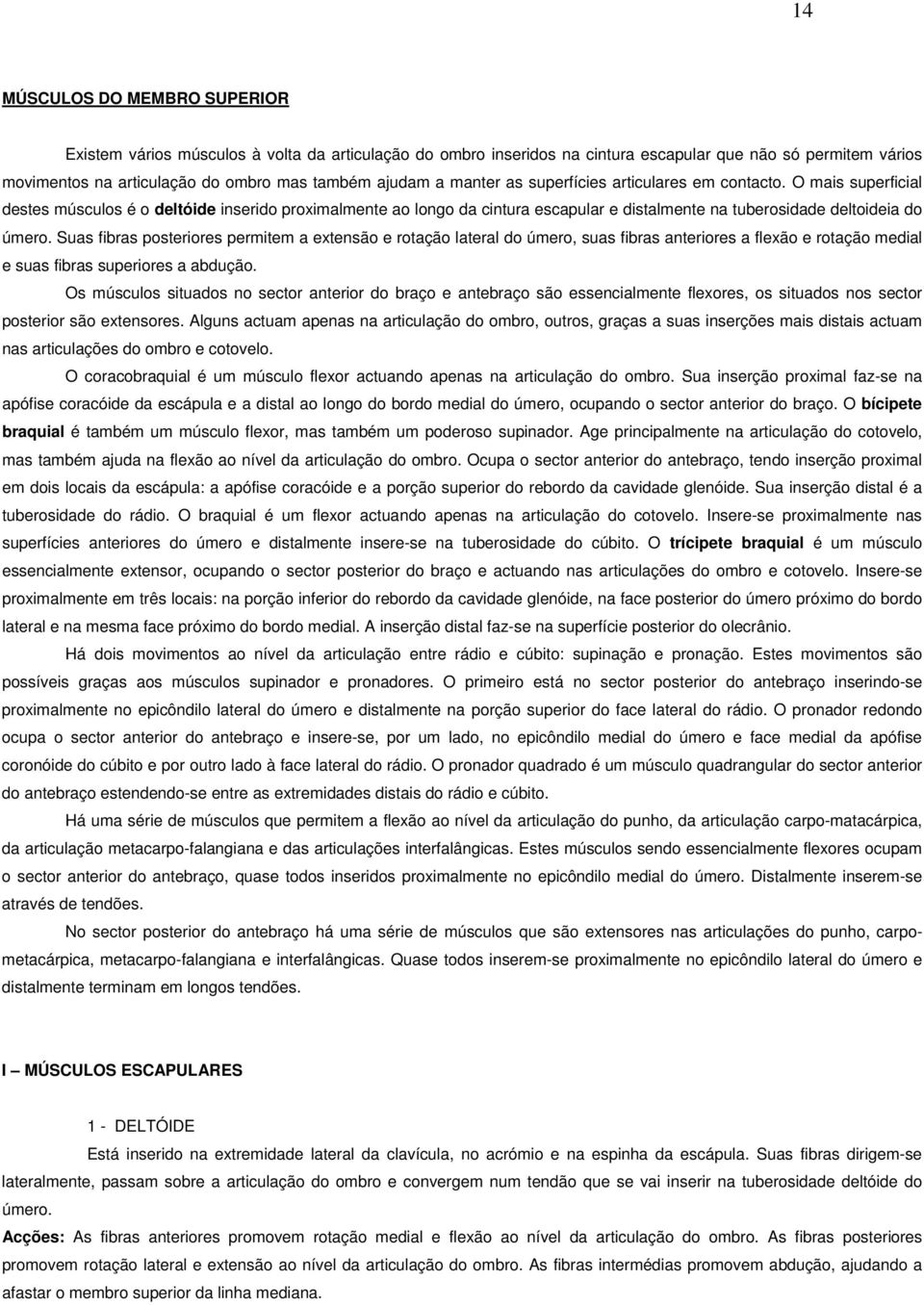 Suas fibras posteriores permitem a extensão e rotação lateral do úmero, suas fibras anteriores a flexão e rotação medial e suas fibras superiores a abdução.