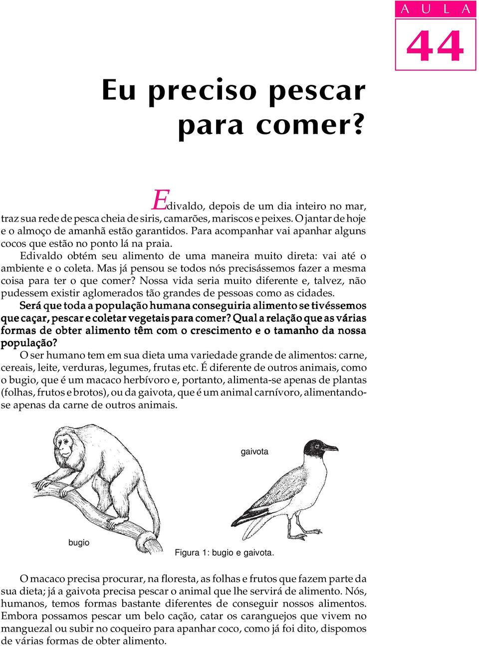 Edivaldo obtém seu alimento de uma maneira muito direta: vai até o ambiente e o coleta. Mas já pensou se todos nós precisássemos fazer a mesma coisa para ter o que comer?