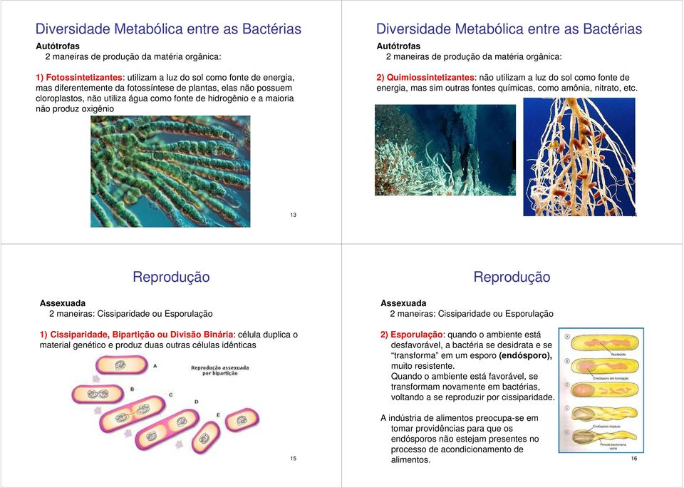 matéria orgânica: 2) Quimiossintetizantes: não utilizam a luz do sol como fonte de energia, mas sim outras fontes químicas, como amônia, nitrato, etc.