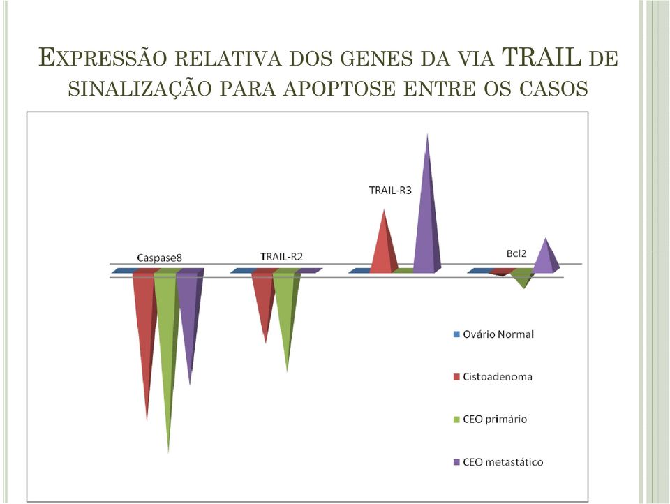 TRAIL DE SINALIZAÇÃO