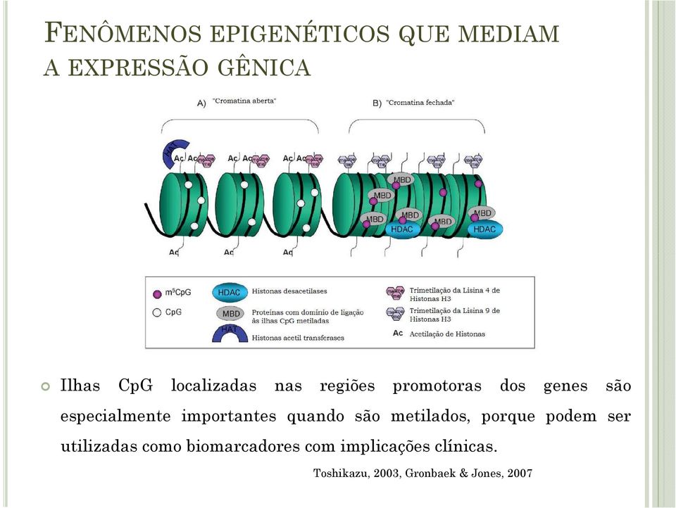 importantes quando são metilados, porque podem ser utilizadas como