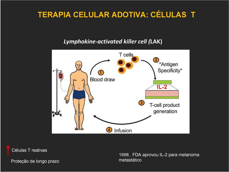 Células T reativas Proteção de longo prazo