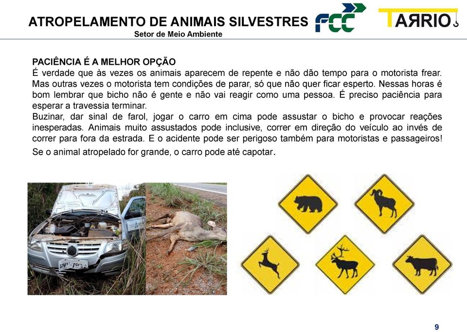 É preciso paciência para esperar a travessia terminar. Buzinar, dar sinal de farol, jogar o carro em cima pode assustar o bicho e provocar reações inesperadas.