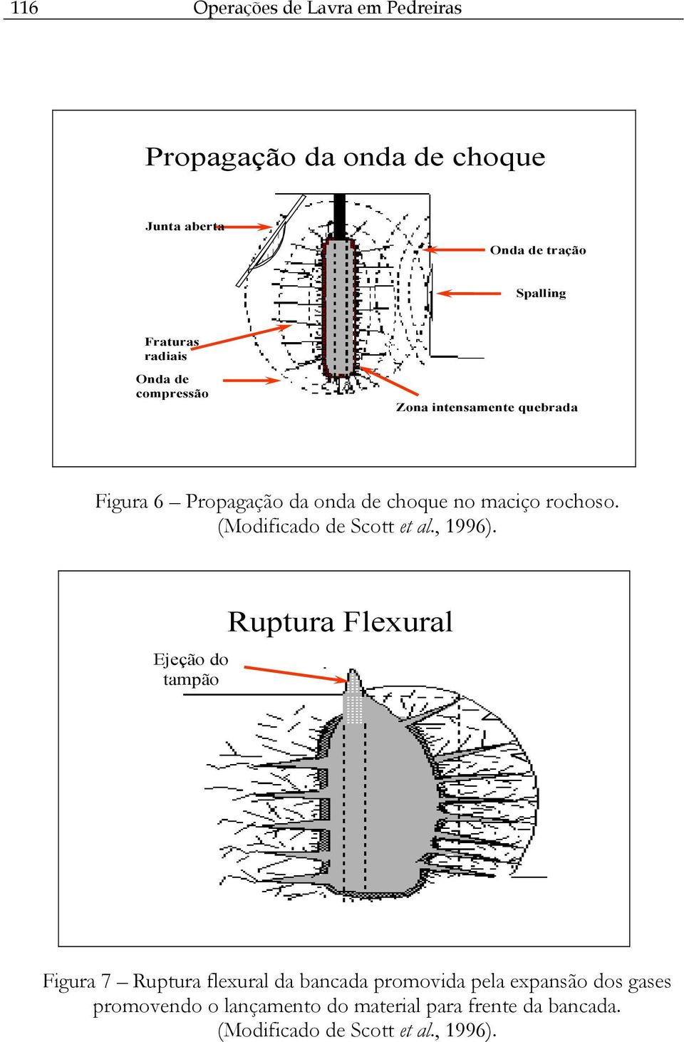 (Modificado de Scott et al., 1996).