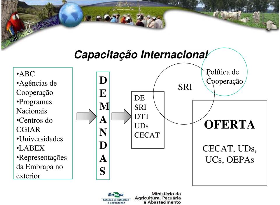 Representações da Embrapa no exterior D E M A N D A S DE SRI