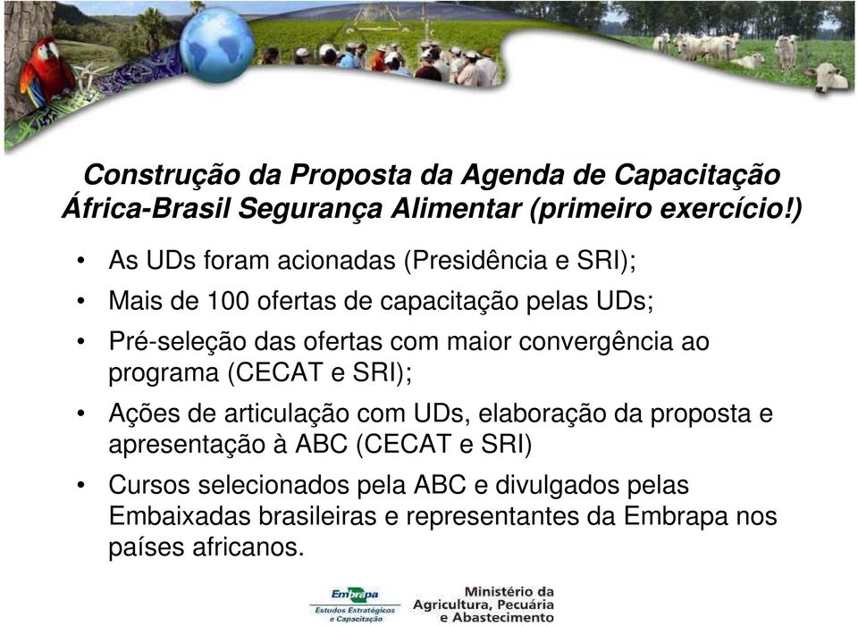 com maior convergência ao programa (CECAT e SRI); Ações de articulação com UDs, elaboração da proposta e apresentação