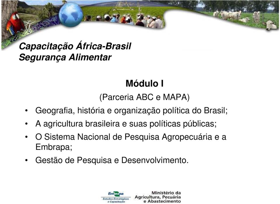 agricultura brasileira e suas políticas públicas; O Sistema Nacional