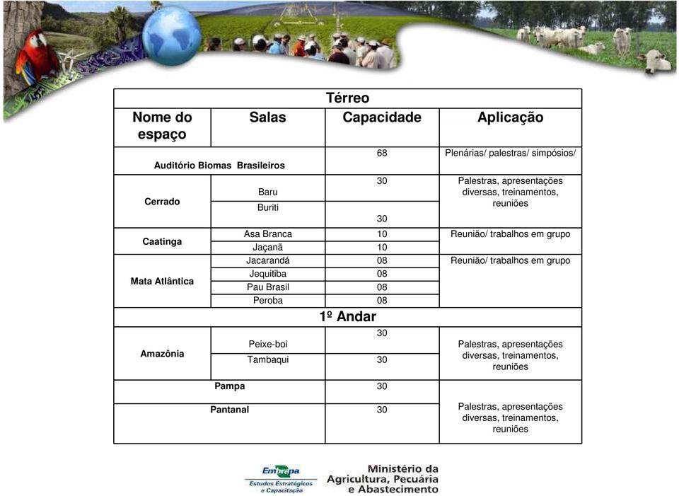 em grupo Jaçanã 10 Jacarandá 08 Reunião/ trabalhos em grupo Jequitiba 08 Pau Brasil 08 Peroba 08 1º Andar Peixe-boi 30 Tambaqui 30