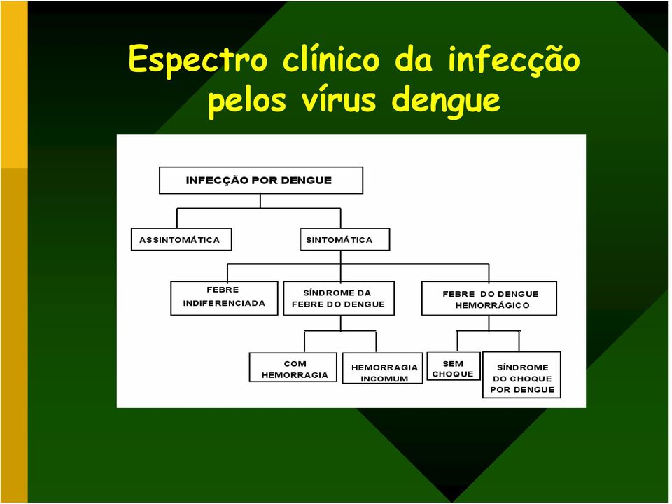 infecção