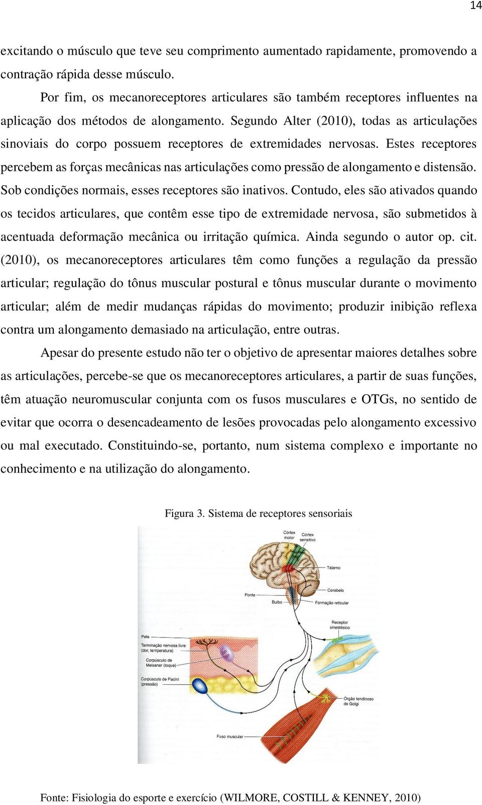 Segundo Alter (2010), todas as articulações sinoviais do corpo possuem receptores de extremidades nervosas.