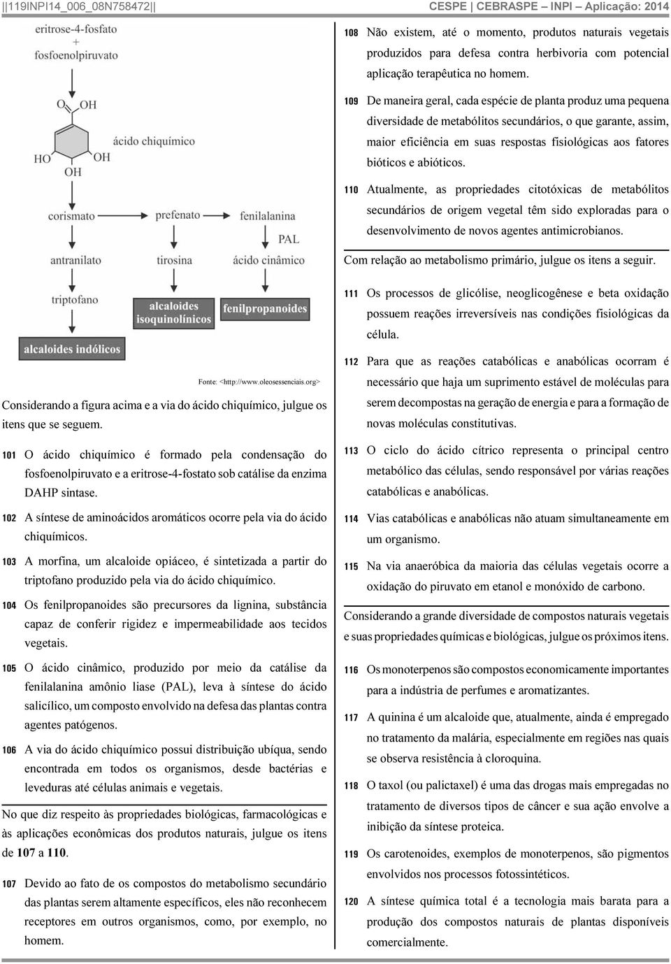 abióticos. 110 Atualmente, as propriedades citotóxicas de metabólitos secundários de origem vegetal têm sido exploradas para o desenvolvimento de novos agentes antimicrobianos.