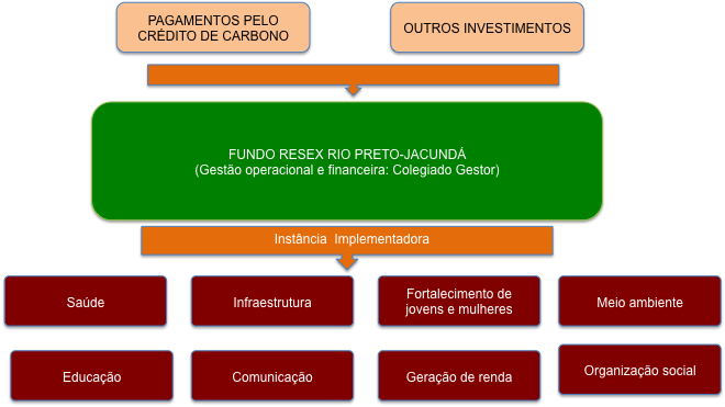 o mecanismo de repartição de benefícios do projeto. Desses momentos, o seguinte fluxo foi criado e aprovado em plenária: Figura 52.