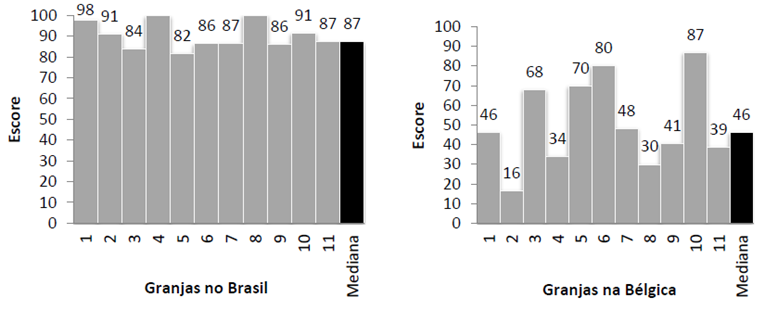 Bem-estar de Frangos de Corte no Brasil Figura.