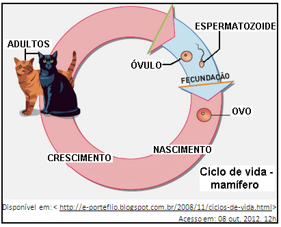 desenvolvimento direto, pois não passam por estágio larval. b) anfíbios e mamíferos não apresentam estágio larval, pois o desenvolvimento deles é indireto.