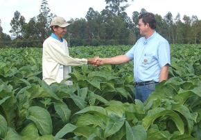 Respostas Socioambientais da Cadeia Produtiva do Tabaco & Princípios da Produção Integrada Melhorias documentadas de conformidade em produção